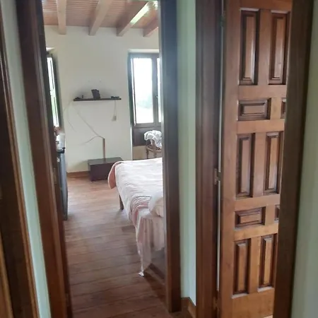 El Foro * نيمبرو